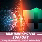 4 - Humming Herbs Organic Reishi Mushroom Blend,  90 capsules 