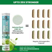 3 - Naturyz Plant KSM-66 with Ashwagandha(Apple Green Flavour),  45 tablet(s) 