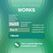 4 - Setu Tummy: Probiotic,  30 capsules  Unflavoured (Pack of 2) 