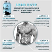 6 - Naturyz LEAN CUTZ Thermogenic Fat Burner 60 Tablets & Apple Cider Vinegar 20 Tablets Combo,  2 Piece(s)/Pack  Unflavoured & Apple 