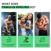 6 - Naturyz Tribulus 3000 Pro Flavour Orange, 20 tablet(s)