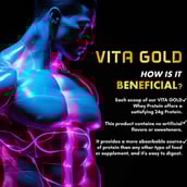 8 - Vitaminnica Vita Gold Whey Protein Blend, 5 lb French Vanilla