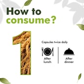 6 - Sprowt Korean Red Ginseng,  100 capsules 