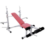 Lifeline 309 Multi Bench