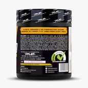 2 - Ripped Up Nutrition Alpha Shred, 0.33 lb Orange Mango