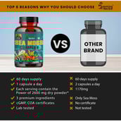 6 - Humming Herbs Sea Moss Complex, 60 capsules