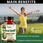 5 - Humming Herbs Olive Leaf & Fruit Extract,  60 capsules 
