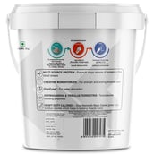 3 - Big Flex King Mammoth Mass Gainer, 11.02 lb Mocha