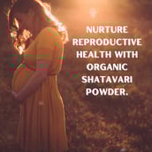 4 - Pure Nutrition Organic Shatavari Powder,  227 g 