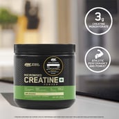 12 - ON (Optimum Nutrition) Micronized Creatine Powder Unflavoured 0.55 lb with Gold Standard 100% Whey Protein,  2 lb  Double Rich Chocolate 