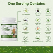 5 - INLIFE Vegan Plant Protein,  2.2 lb  Coffee 