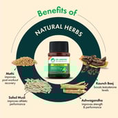 3 - Dr. Vaidya's Herbobuild,  60 tablets 