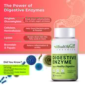 4 - Health Veda Organics Digestive Enzyme,  60 veggie capsule(s) 