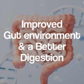 5 - Health Veda Organics Multivitamin with Probiotics,  120 tablet(s)  Unflavoured 