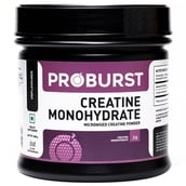 1 - Proburst Creatine Monohydrate, Unflavoured 0.66 lb