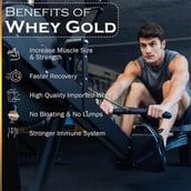 2 - Nakpro Whey Gold Protein Concentrate,  2.2 lb  Chocolate Cream 