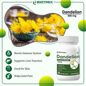 5 - Biotrex Dandelion 500mg,  60 veggie capsule(s) 