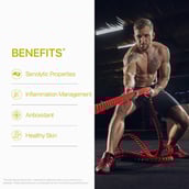 3 - Decode Age Senolytic Activator SeneVit,  30 capsules 