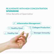 7 - Decode Age Spermidine,  60 tablet(s) 