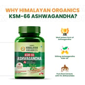 7 - Himalayan Organics KSM-66 Ashwagandha, 60 veggie capsule(s)