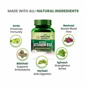 5 - Himalayan Organics Plant Based Vitamin B12 Natural, 60 veggie capsule(s) Unflavoured