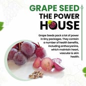 7 - Himalayan Organics Grape Seed Extract 500 mg,  90 veggie capsule(s) 