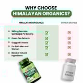 5 - Himalayan Organics Garcinia Cambogia,  60 veggie capsule(s) 