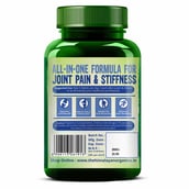 4 - Himalayan Organics Glucosamine Chondroitin & MSM,  90 tablet(s) 
