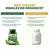 6 - Himalayan Organics Ginkgo Biloba 500mg,  60 capsules 