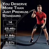 3 - Nakpro Whey Gold Protein Concentrate,  1.1 lb  Mango 