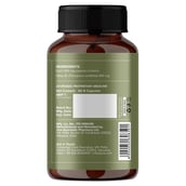 2 - Jiva Ayurveda Giloy, 60 capsules