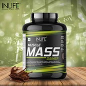 2 - INLIFE Muscle Mass Gainer Protein Powder with Whey Protein, 6.6 lb Chocolate