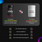 3 - Athlab Instant Whey,  1.1 lb  Dark Chocolate 