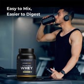 2 - Nutrabay Gold Tri-Blend Whey Protein,  2.2 lb  Kesar Badam Pista 