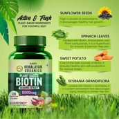 7 - Vlado's Himalayan Organics Plant Based Biotin 10000mcg,  120 veggie capsule(s)  Unflavoured 