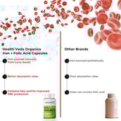 7 - Health Veda Organics Iron + Folic Acid,  60 capsules 