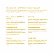 4 - Origins Nutra Fatty Liver Aid (Pack of 3), 28 tablet(s)