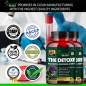 4 - Humming Herbs The Detoxe,  180 capsules 