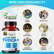 4 - Humming Herbs Liver Care Tudca +,  120 capsules 