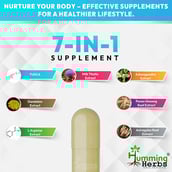 3 - Humming Herbs Liver Care Tudca +,  60 capsules 