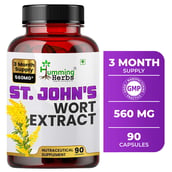1 - Humming Herbs St. John's Wort Extract,  90 capsules 