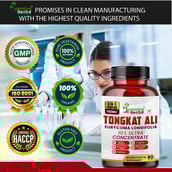 5 - Humming Herbs Tongkat Ali Eurycoma Longifolia,  90 capsules 