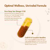 8 - WishNew Wellness Daily Ritual Triple Strength Omega-3 & CoQ-10,  120 capsules 