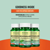 5 - Morpheme Remedies Phyllanthus Niruri (500 mg),  60 veggie capsule(s) 