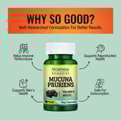 3 - Morpheme Remedies Mucuna Pruriens (500 mg), 60 veggie capsule(s)