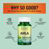 3 - Morpheme Remedies Amla (500 mg),  60 veggie capsule(s) 