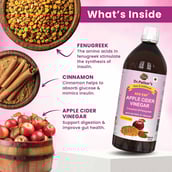 2 - Dr. Patkar's Apple Cider Vinegar (Pack of 2),  1 L  Cinnamon & Fenugreek 