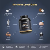 2 - Nutrabay Gold Mega Mass Gainer, 4.4 lb Rich Chocolate Creme