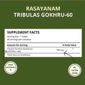 3 - Rasayanam Pure Himalayan Shilajit 20g, Tribulas Gokhru-60 60 Tablets & Multivitamin for Men Combo,  60 tablet(s)  Unflavoured 