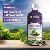 7 - Vlado's Himalayan Organics Karela Jamun Dia Care Juice,  Unflavoured  1 L 